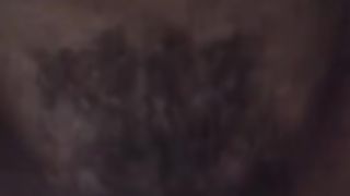 Inculata a pecora...