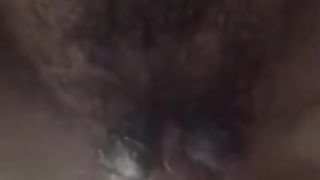 Inculata a pecora...