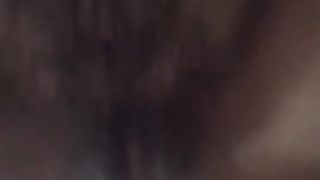 Inculata a pecora...