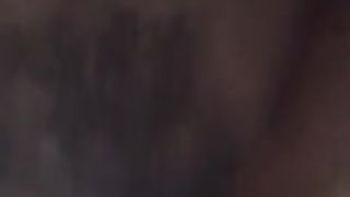 Inculata a pecora...