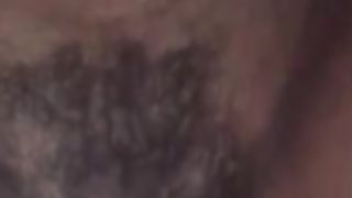 Inculata a pecora...