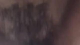 Inculata a pecora...