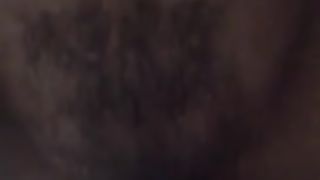 Inculata a pecora...