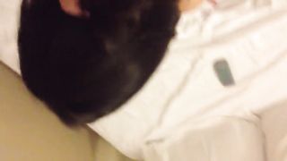 Mia Moglie a pecora gode