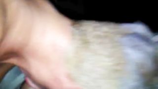 Amica siciliana golosa di cazzo