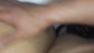 Scopo il suo bel culo a pecorina