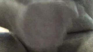 Ne avevo proprio voglia...