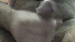 Anteprima del video: Ne avevo proprio voglia...