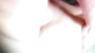 Che bella inculata...!