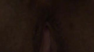 Una bella pecorina mattutina