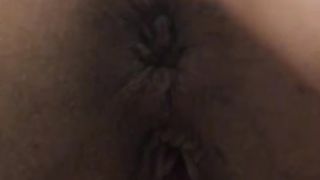 Una bella pecorina mattutina