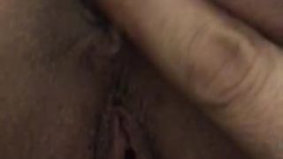 Una bella pecorina mattutina