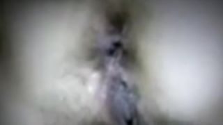 Anche oggi una mia amica vacca gode con me