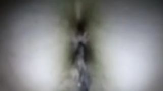 Anche oggi una mia amica vacca gode con me