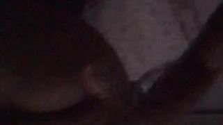 Preparo la vacca da monta