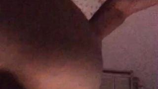 Preparo la vacca da monta