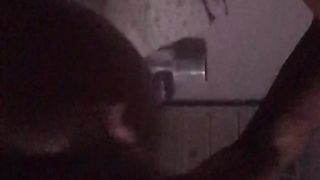 Preparo la vacca da monta