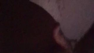 Preparo la vacca da monta