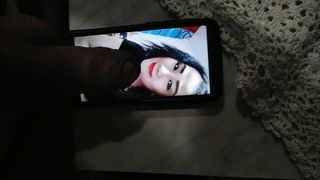 Mi sego o non mi sego