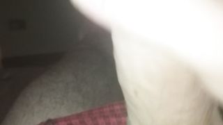 Sega sarale del mio cazzo