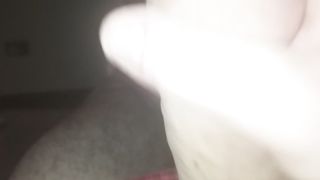 Sega sarale del mio cazzo