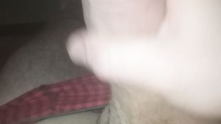 Sega sarale del mio cazzo