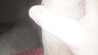 Sega sarale del mio cazzo