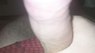 Sega sarale del mio cazzo