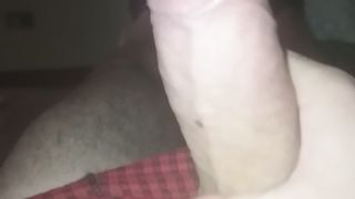 Sega sarale del mio cazzo