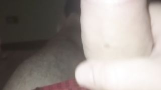 Sega sarale del mio cazzo