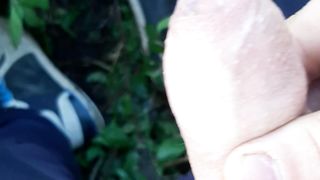 Sega in mezzo alla natura