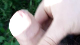 Sega in mezzo alla natura