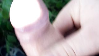 Sega in mezzo alla natura