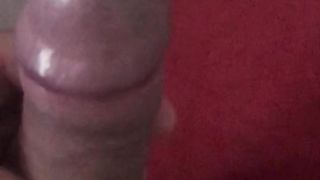 il mio cazzo Parte 3