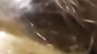 Alla bionda piace prendere il cazzo in faccia