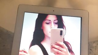 Tributo a troietta viziata