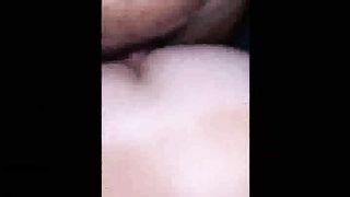 Moglie a pecora con bull 2