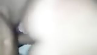 Una bellissima pecorina