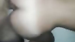 Una bellissima pecorina