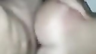 Una bellissima pecorina