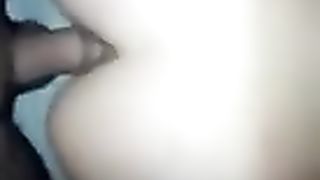 Una bellissima pecorina