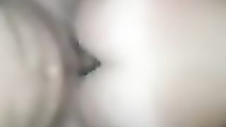 Una bellissima pecorina