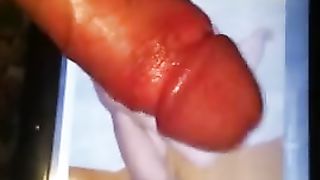 Il mio primo tributo