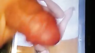 Il mio primo tributo