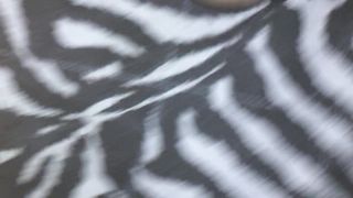 Lecco tutta la sua enorme fica