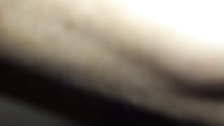 Lecco tutta la sua enorme fica