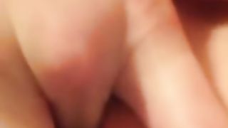 La solita porcellina