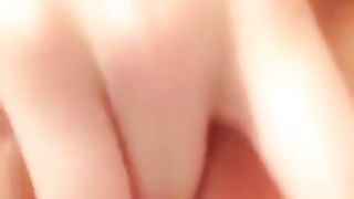 La solita porcellina