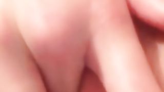 La solita porcellina