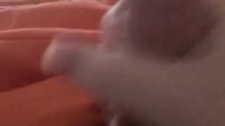 Il mio cazzo Parte 4